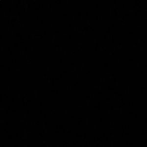 Meet your Posher, Ava